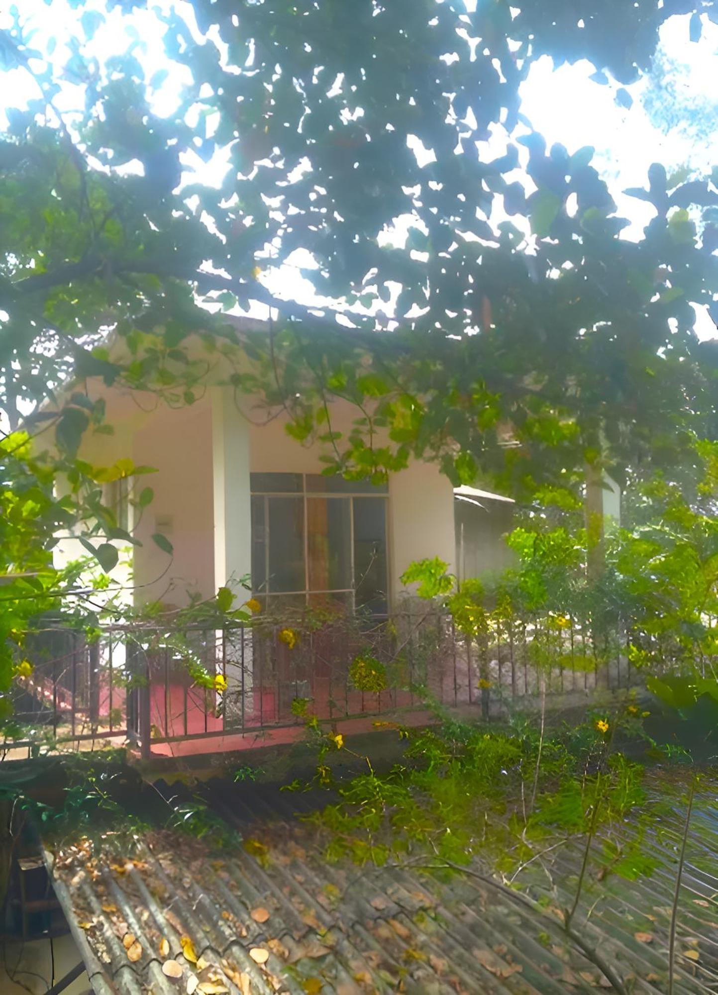 Senehas Homestay إيلا المظهر الخارجي الصورة